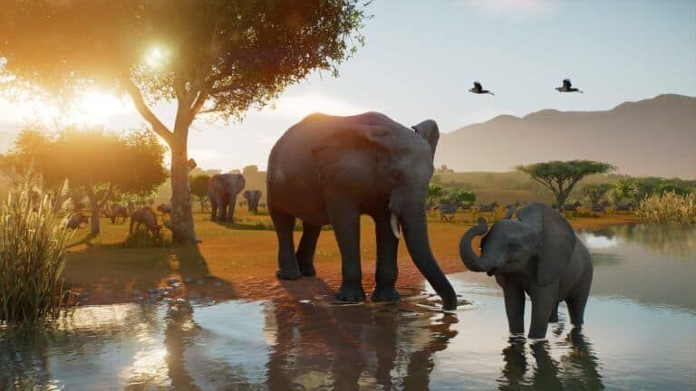Planet Zoo 2 muestra nuevo tráiler con gameplay y fecha de llegada Planet Zoo 2 muestra nuevo tráiler con gameplay y fecha de llegada