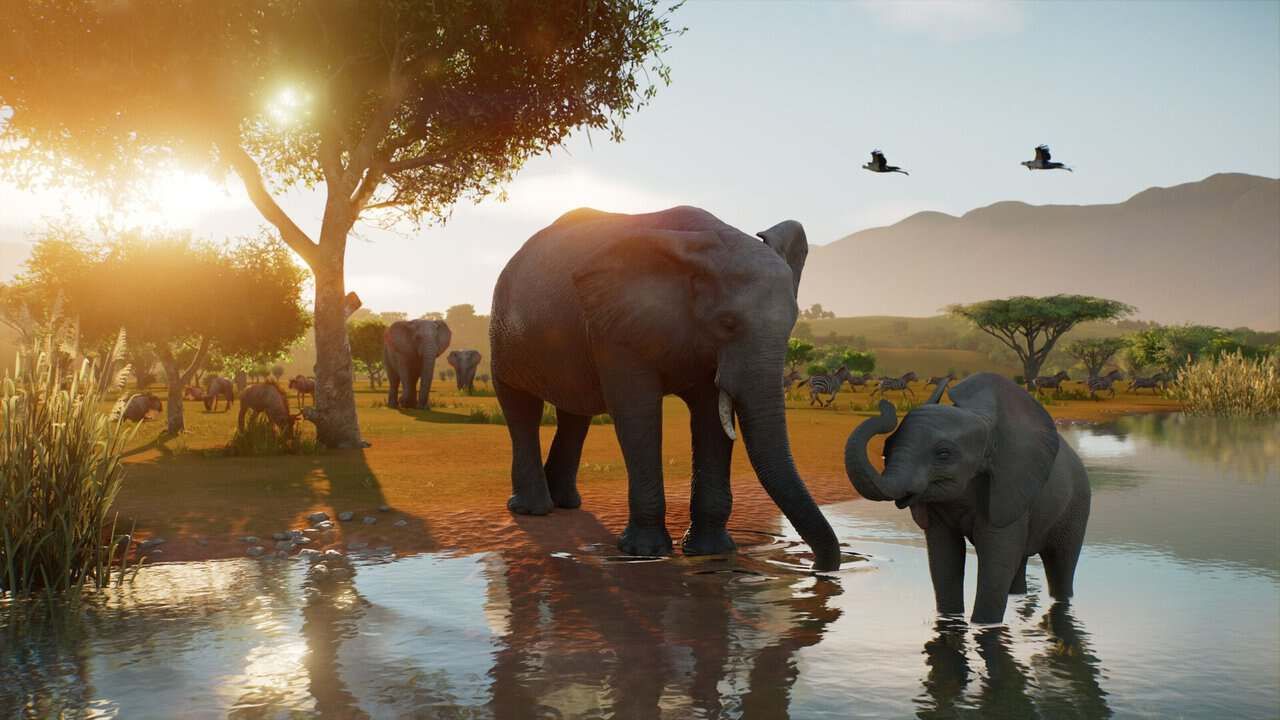 Planet Zoo 2 muestra nuevo tráiler con gameplay y fecha de llegada Planet Zoo 2 muestra nuevo tráiler con gameplay y fecha de llegada