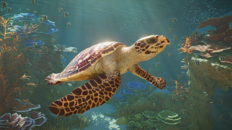 Planet Zoo 2 explica el funcionamiento de sus acuarios en un nuevo vídeo Planet Zoo 2 explica el funcionamiento de sus acuarios en un nuevo vídeo