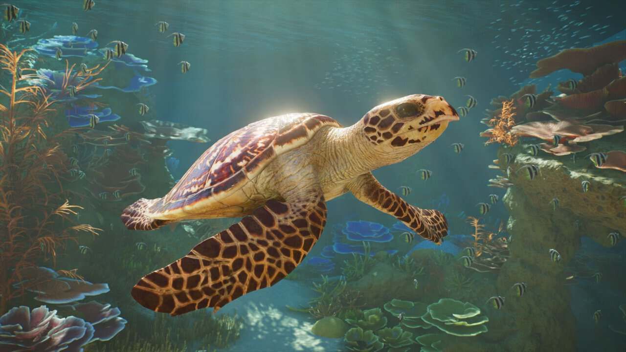 Planet Zoo 2 explica el funcionamiento de sus acuarios en un nuevo vídeo Planet Zoo 2 explica el funcionamiento de sus acuarios en un nuevo vídeo