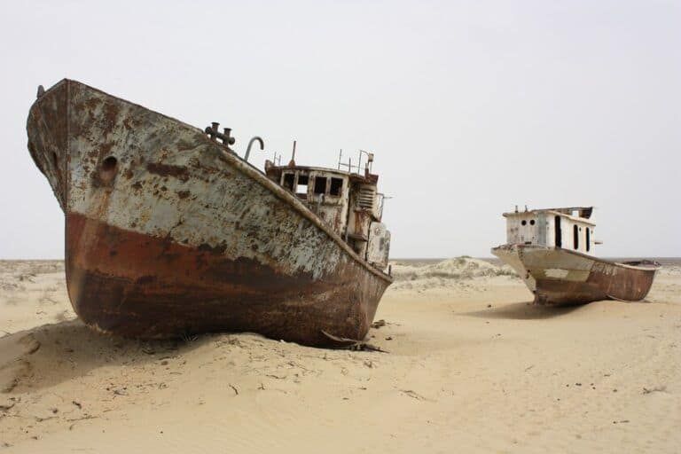 Cómo el algodón convirtió el mar de Aral en un desierto de 62.000 km² Cómo el algodón convirtió el mar de Aral en un desierto de 62.000 km²