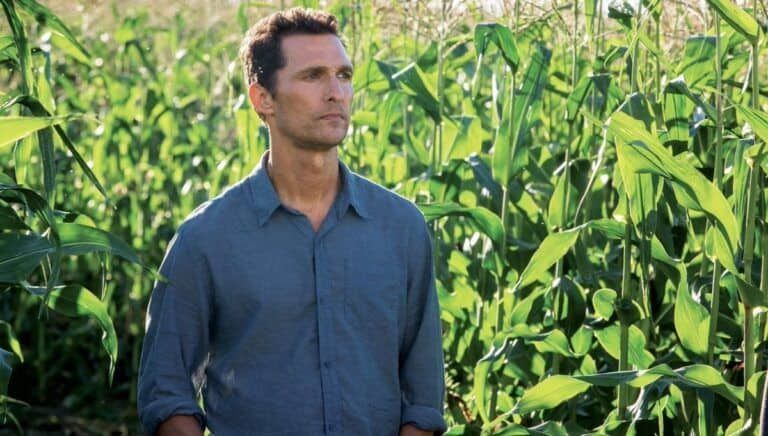 Matthew McConaughey revela por qué no interpretó a Joel en The Last of Us