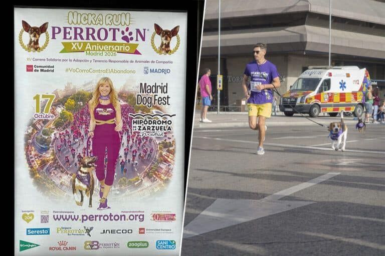 Perrotón Madrid Nicka Run cambia de escenario y reunirá a miles de perros en 2026