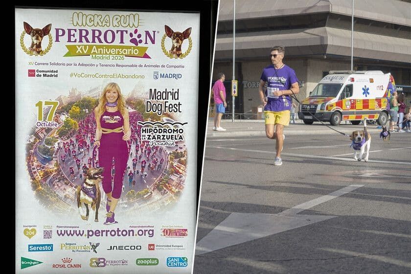 Perrotón Madrid Nicka Run cambia de escenario y reunirá a miles de perros en 2026