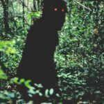 The Match Factory llevará al mercado internacional cuatro películas restauradas de Apichatpong Weerasethakul