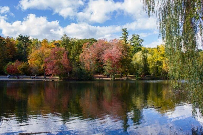 Yonkers recuperó el río Saw Mill bajo un aparcamiento y creó un nuevo ecosistema