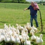 Jeremy Clarkson ya prepara el siguiente paso tras la sexta temporada de Clarkson’s Farm