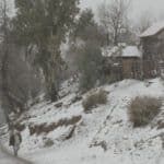 Sanfic 2026 competirá con nueve películas chilenas, incluida la última obra de Antonio Caro