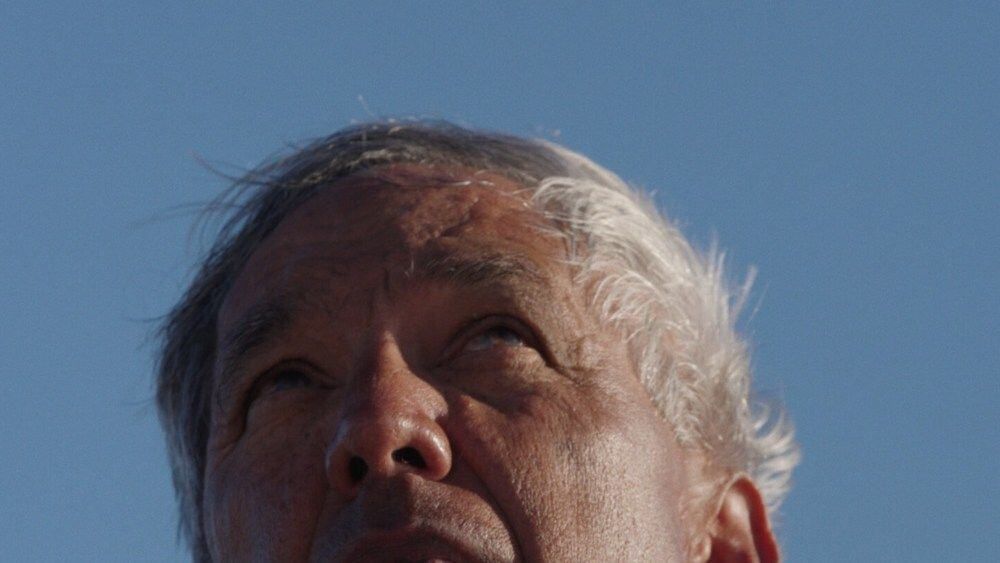 The Navigator inaugurará la 46ª edición del Festival Internacional de Cine de Hawái