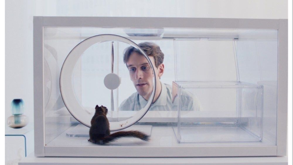 The Squirrel representará a Finlandia en los Oscar y recibe el respaldo de Aki Kaurismäki