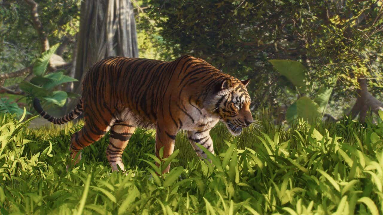 Planet Zoo 2 alcanza los 45.101 jugadores simultáneos en Steam y supera al original Planet Zoo 2 alcanza los 45.101 jugadores simultáneos en Steam y supera al original